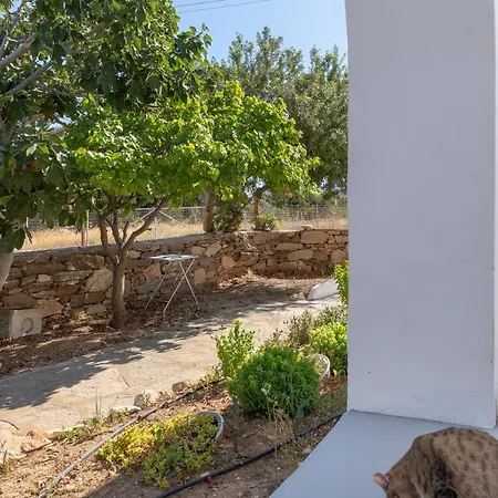 Apartment Blue Violet Drios