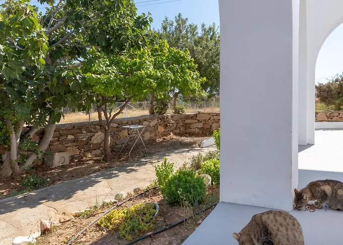 Apartamento Blue Violet Drios