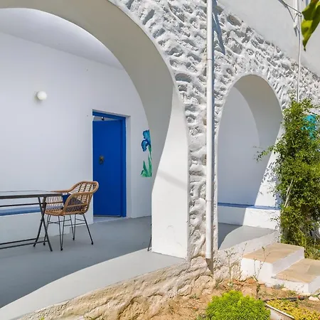 Blue Violet Дриос