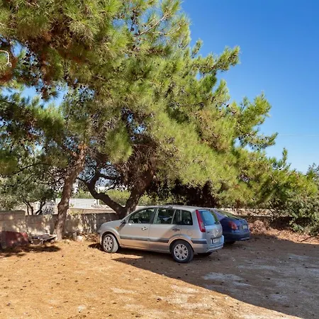 Blue Violet Дриос